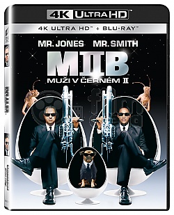 MUI V ERNM II