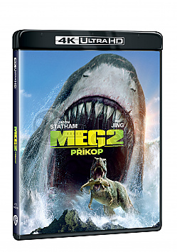 MEG 2: Pkop
